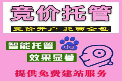 SEM竞价代运营：案例展示广告投放优化技巧